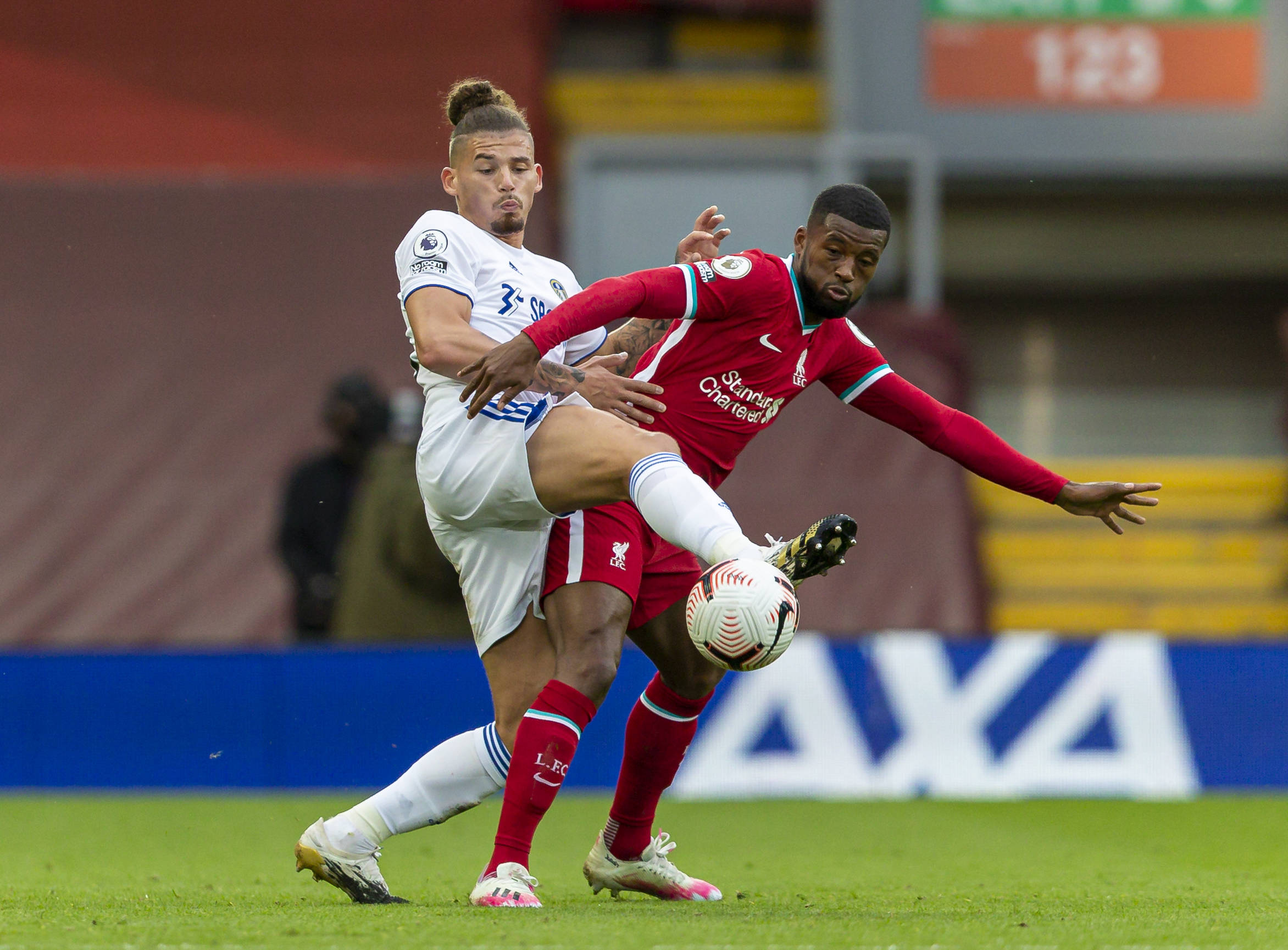 政府也可能 政府也可能